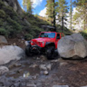 Meet your Posher, Donald